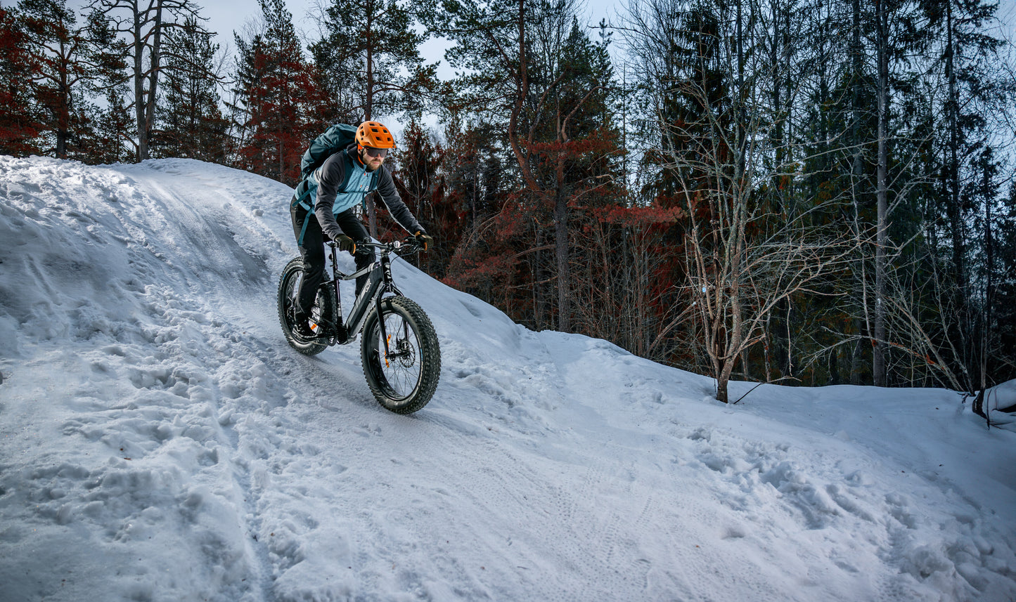 GZR Black Raw 3.0 -sähköfatbike